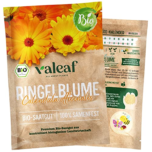 BIO Ringelblumen Samen - Samenfestes Bio-Saatgut für Garten Balkonkasten & bunte Wildblumenwiese