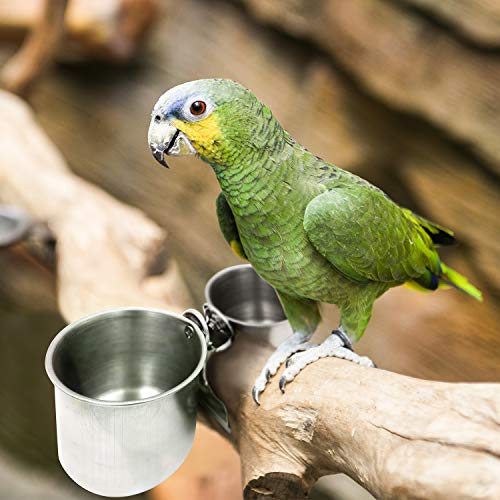 Bac-kitchen Bird Water Feeder Dishes Bird Bowl Cage Hanging Bowl Stainless Steel Perches Play Stand with Clamp Bird Cage Coop Cups Water Food Dish Feeder Bowl Birdcage (Clamp Cup)