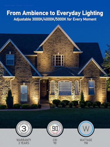 Image of LEONLITE 8-Pack RGBCW Wall Wash Dimmable LED Low Voltage Landscape Lights