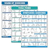 Palace Learning 3 Pack - Warm Up Exercises + Stretching Exercises + Yoga Workouts - Set of 3 Workout Charts (LAMINATED, 18” x 24”)