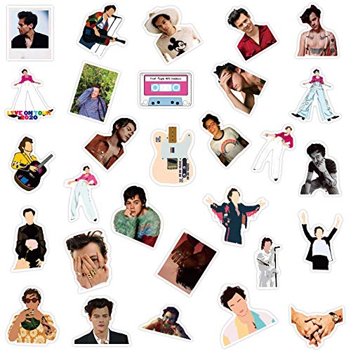 Laptop Sticker Pack 100 Pcs, Harry-Singer Sticker Unique Cool Stickers Waterbottle Notebook Guitar Skateboard Travel Teens Stickers