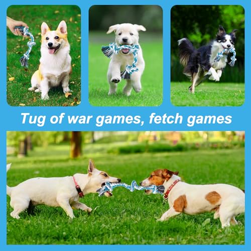 Vivifying Dog Rope Toy, Tough Rope Toy for Dog Cat Puppy Teeth Cleaning (Blue) - Image 4