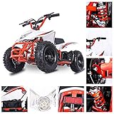 Fit Right 2020 Titan Kids 24V Mini Quad...