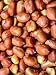 Snack Delights Roasted & Salted Spanish Peanuts – Red Skin Peanuts, Crunchy Healthy Snack (2 Pound)