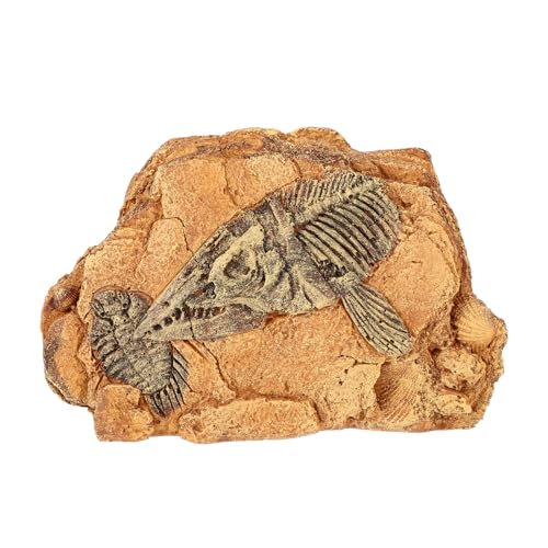 FUTUREORYY ঒��ޗp���W���B��� ���^���A�V�F���^�[ �o�X�L���O�v���b�g�t�H�[���t�� �e�����E������ ���T �J�G�� �g�J�Q ���N�K���Ή� ঒�