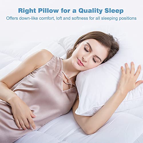 Image of Acteb Flat Thin Pillows Queen Size Set of 2 Pack Bed Basic Sleeping Pillow for Stomach Sleeper 20x30 Inches