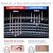 Imagen de ANLAN Masajeador Facial Instrumento Multifuncional con Frío Calor Roja y Azul para Antiarrugas