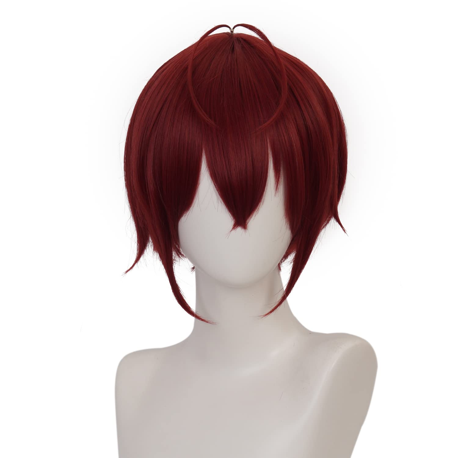 Wine Red Short Wig for Anime Costume with Straight Heat Resistant Synthetic Hair for Women Halloween Cos Anime Party Comic Con Replacement Wigs