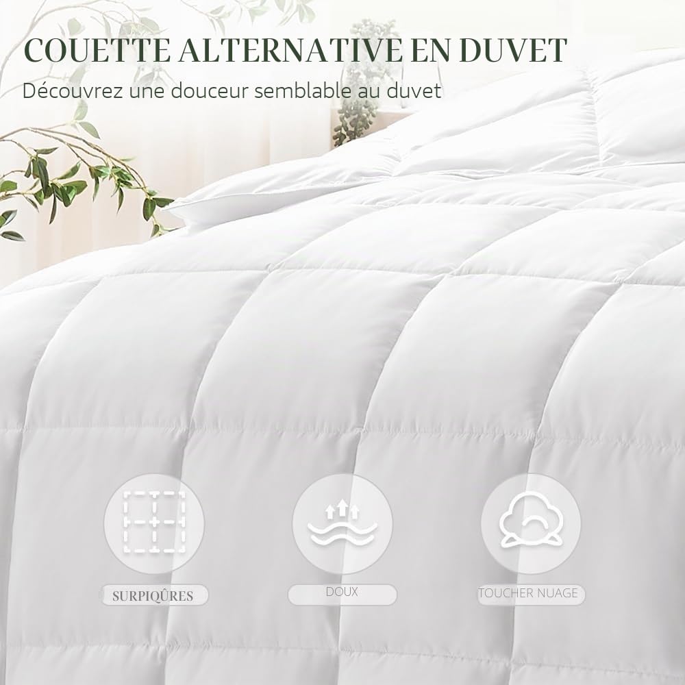 ACCURATEX Couette 4 Saisons 250 g/m² en Microfibre, 200×200 cm, Effet Duvet | Édredon moelleux et gonflant, doux & respirant, fin pour lit 2 personnes, hypoallergénique, 8 attaches d'angle, lavable