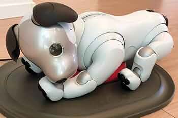 51V5nBNRlAL._AC_UF350,