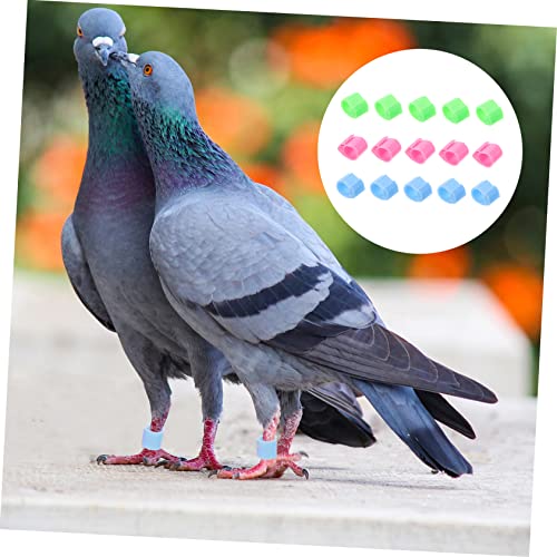 GARVALON 20 Peças Faixas De Perna De Anel De Pé De Pombo Para Aves Pombos Faixa De Identificação Sup