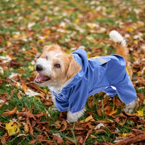 Fayemint Regenmantel für Hunde Mit Kapuze - Verstellbar, für Unterschiedliche Größen und Formen (Blau)