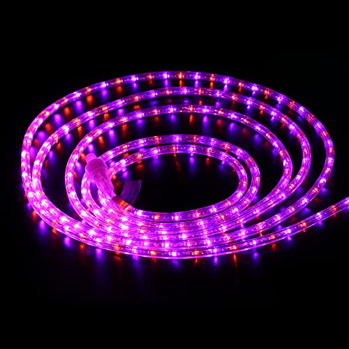 Brizled Purple & Orange Rope Lights, 18Ft 216 Led Orange Halloween Rope Lights, 120V Plugin Rope Lights Connectable, Indoor Outdoor Halloween Lights Waterproof Tube Rope Light For Halloween Tree Patio #TOP6