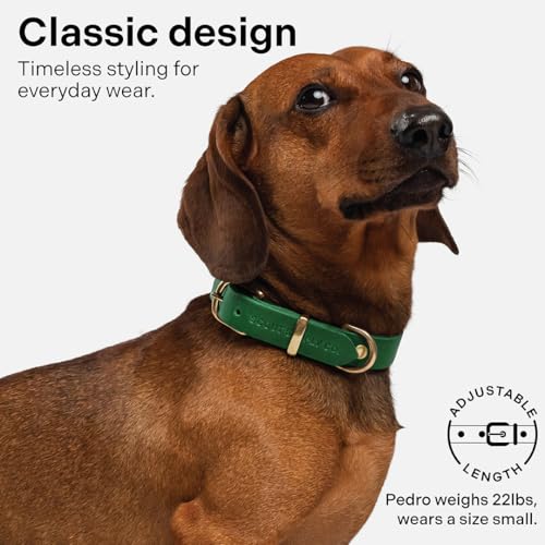 Image of Classic Genuine Leather Dog Collar | Dog Collars for Medium Dogs, Small Dogs, Large Dogs & Extra Large Dog | Wide Dog Collar | Heavy Duty Collar | Green (XL: 1.2 inch Wide for 18.5 inch-21 inch Neck)