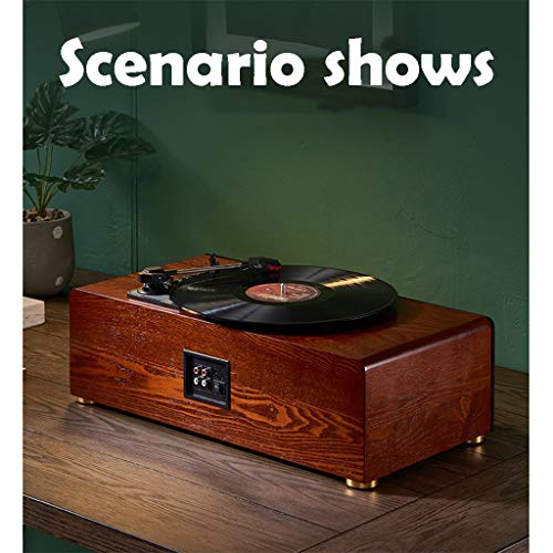 Tourne Disque Vinyle Portable, Platine Vinyle for Lecteur Vinyles, Vitesses 33/45/78, Compatible avec des… - Les Beatles, Paul McCartney, John Lennon, RIngo Starr, George Harrison Tourne Disque Vinyle Portable, Platine Vinyle for Lecteur Vinyles, Vitesses 33/45/78, Compatible avec des… – Image 3