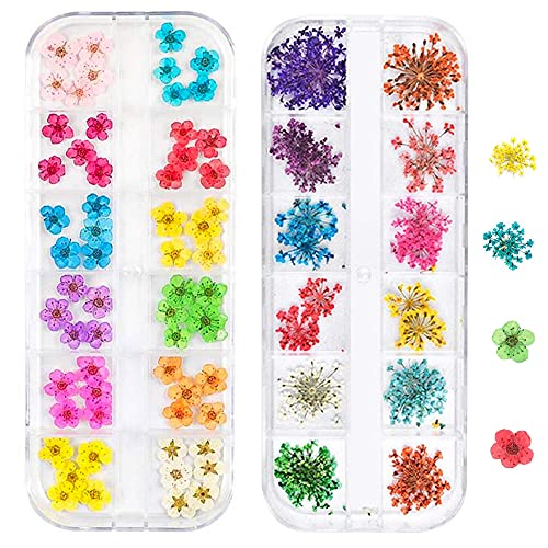 Changar Nagelaufkleber-Set, 3D-Trockenblumen-Aufkleber, getrocknete Blumen für Nagelkunst und Kunstharz, Basteln, DIY, fünf Blütenblätter, Schleierkraut, trockene Blume Cover