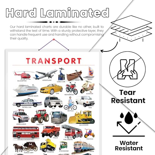 Image of GO WOO TRANSPORT CHART HARD LAMINATED | Hard Laminated Travel Guide