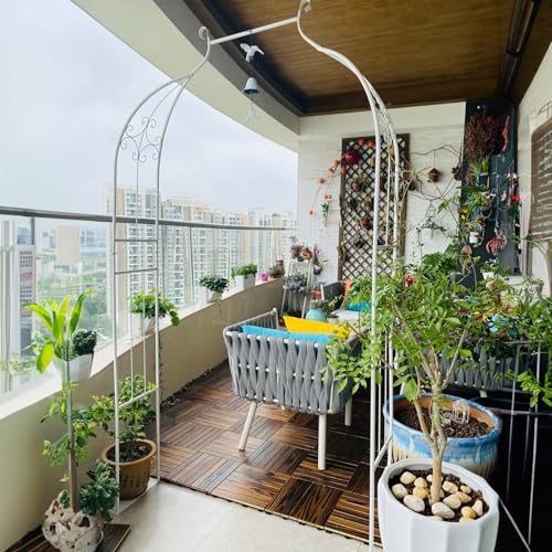 Arche de jardin pour plantes grimpantes et fleurs support de treillis extérieur