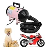 Dryer For Car & Motorcycle Dryer and Duster, Metro Motorbike Dryer, Low Noise Blaster 2800W Speedless Dryer, High Power Grooming Dryer,Professional Pet Dog Cat Heater, 3 Nozzles