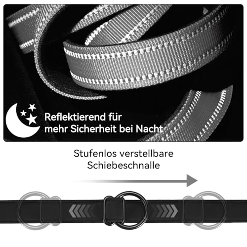 Lina Pet Hundeleine 3m x 2,5 cm, Reflektierend – Verstellbare Doppelleine aus Nylon mit Aluminium-Karabiner, Führleine für große und mittelgroße Hunde