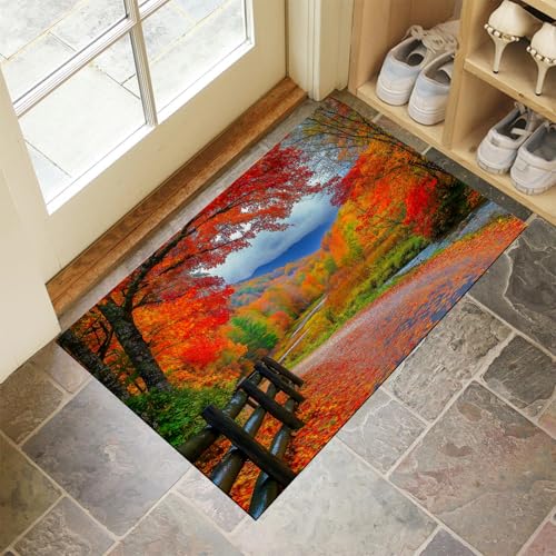 Tapis lavable résistant de qualité supérieure pour entrée de maison - 2