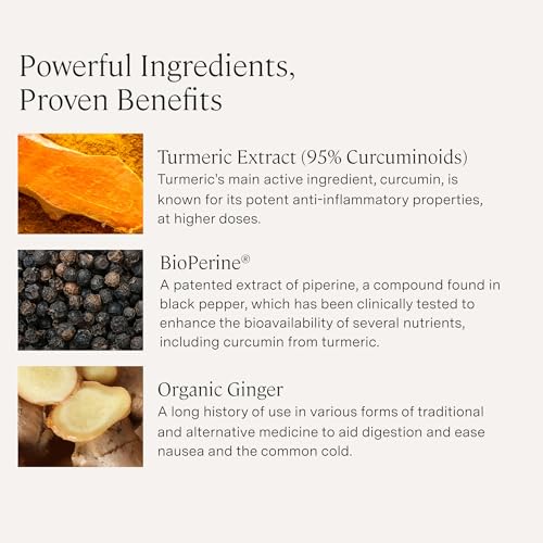 Image of Stonehenge Health Dynamic Turmeric Curcumin with Ginger - High Potency - 1,650 mg Turmeric with 95% Curcuminoids & BioPerine, 90 Vegetarian Capsules