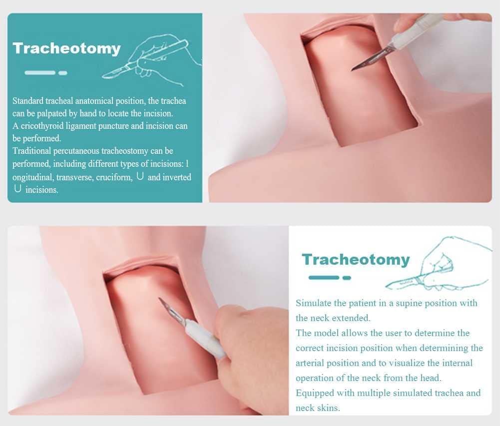 ZAIED PVC Tracheotomy Care Training Manikin PVC Tracheostomy Simulator Model with Aluminum Case for Hospitals, Schools, Research Centre