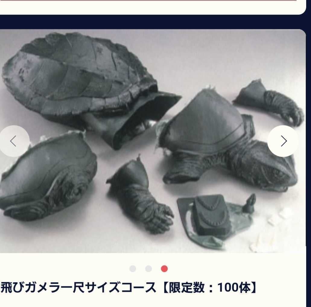 Amazon.co.jp: 飛びガメラ 1尺サイズ 蓄光版 「ガメラ 大怪獣 空中 戦