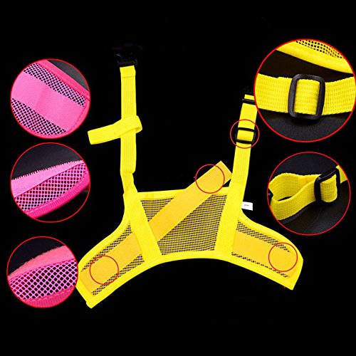 Fully 2 X bocca museruola museruola muso maschera