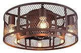 Ohniyou Cage Ceiling Fan with Light, 21 Inch Farmhouse Low Profile Ceiling Fan with Light Remote Con