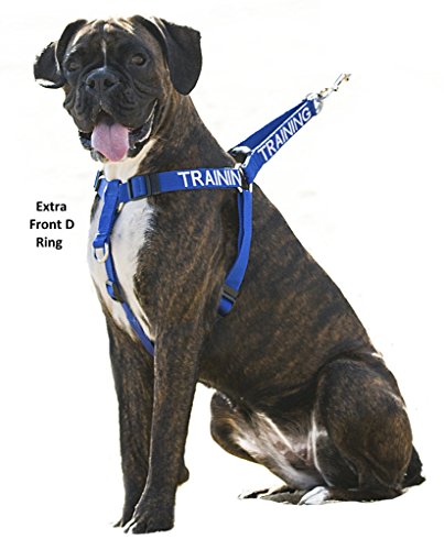 Training Blue Color Coded L Xl Non Pull Dog Harness With Extra Front D Ring Prevents Accidents By Warning Others Of Your Dog In Advance #TOP1