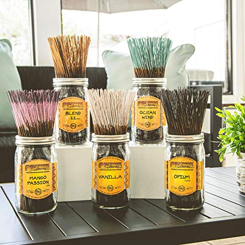 Dpnamron Ocean Wind - 100 Wildberry Incense Sticks #TOP3