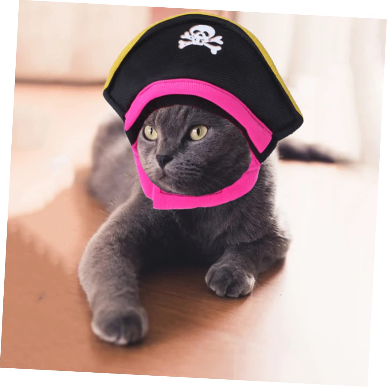BESPORTBLE 3 Set Di Adorabili Cappelli Da Pirata Per Animali Domestici Comodi E Resistenti Costumi Per Gatti in Stile Festival