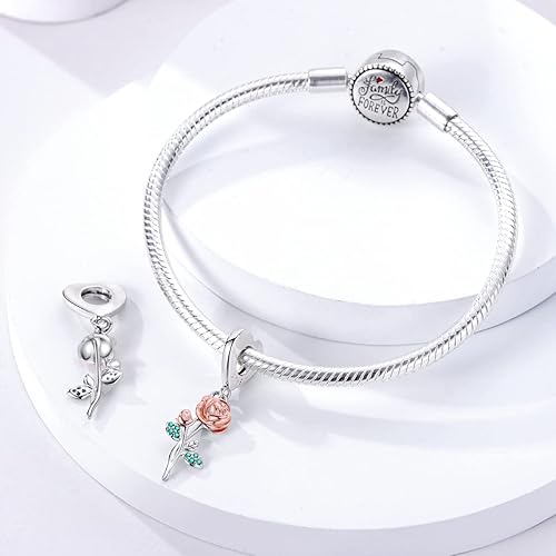 Miniatura 2 de Hapour 925 Sterling Silver Charms for Bracelets Necklace European Jewelry Pendant Beads Charm for Women Mom