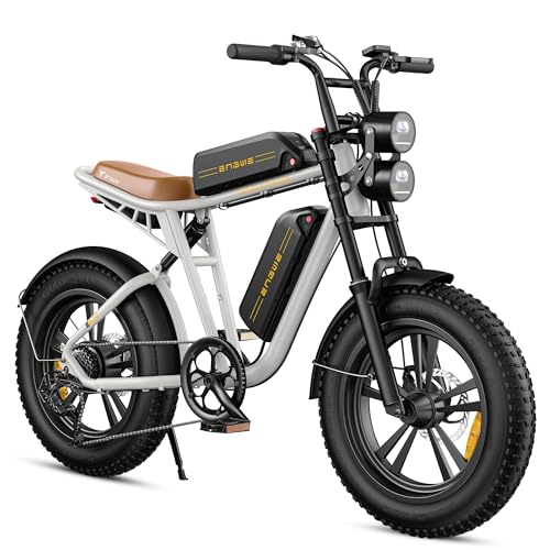 ENGWE E Bike Herren Elektrofahrräder-Ebike mit einem Akku/ 2 Akkus, E-Bike...