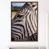 Framed Canvas Wall Art Zebra Animals Dramatic Farmhouse/Country Living Room Multicolor Photography Zebra - 16x24 inches