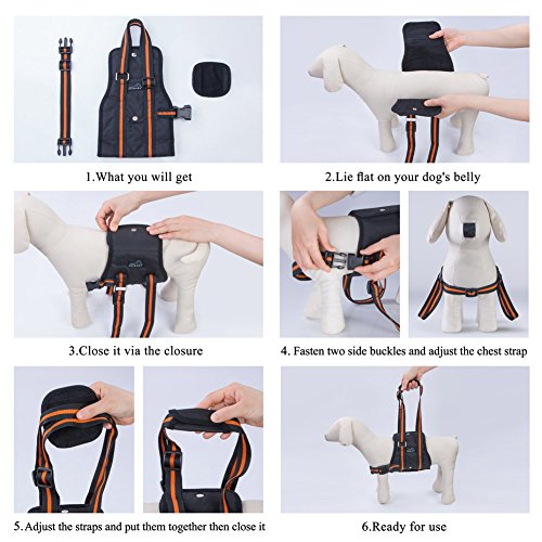 PETBABA Dog Lift Harness, Lifting Support Sling to Help Pet with Weak Back Leg, Aid Mobility and Rehabilitation, Suitable Senior Front Rear Crus Thigh Hip Injury Arthritis - L in Black