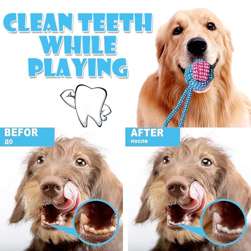 Speedy Panther 7 Stück Hundespielzeug für Kleine Hunde, Plüschspielzeug Quietschspielzeug, Welpe Kauspielzeug, Hundeseil Spielzeug Set für Kleine Mittlere Hunde