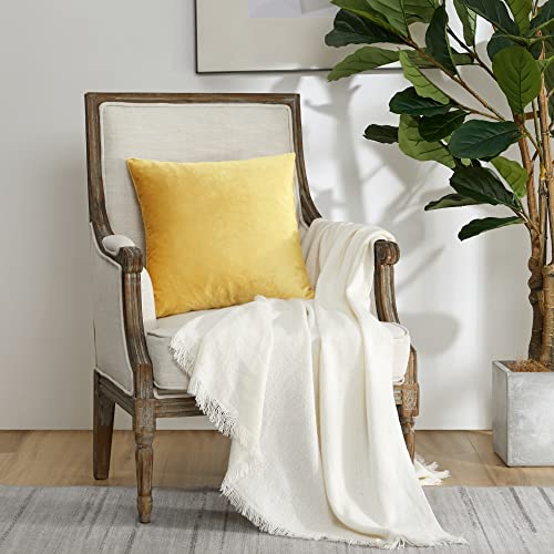 Image of GIGIZAZA Decorative Couch Throw Pillow Covers,Yellow Square Pillow Cushion Covers 22x22,Pillow Cases Velvet Pillow Covers