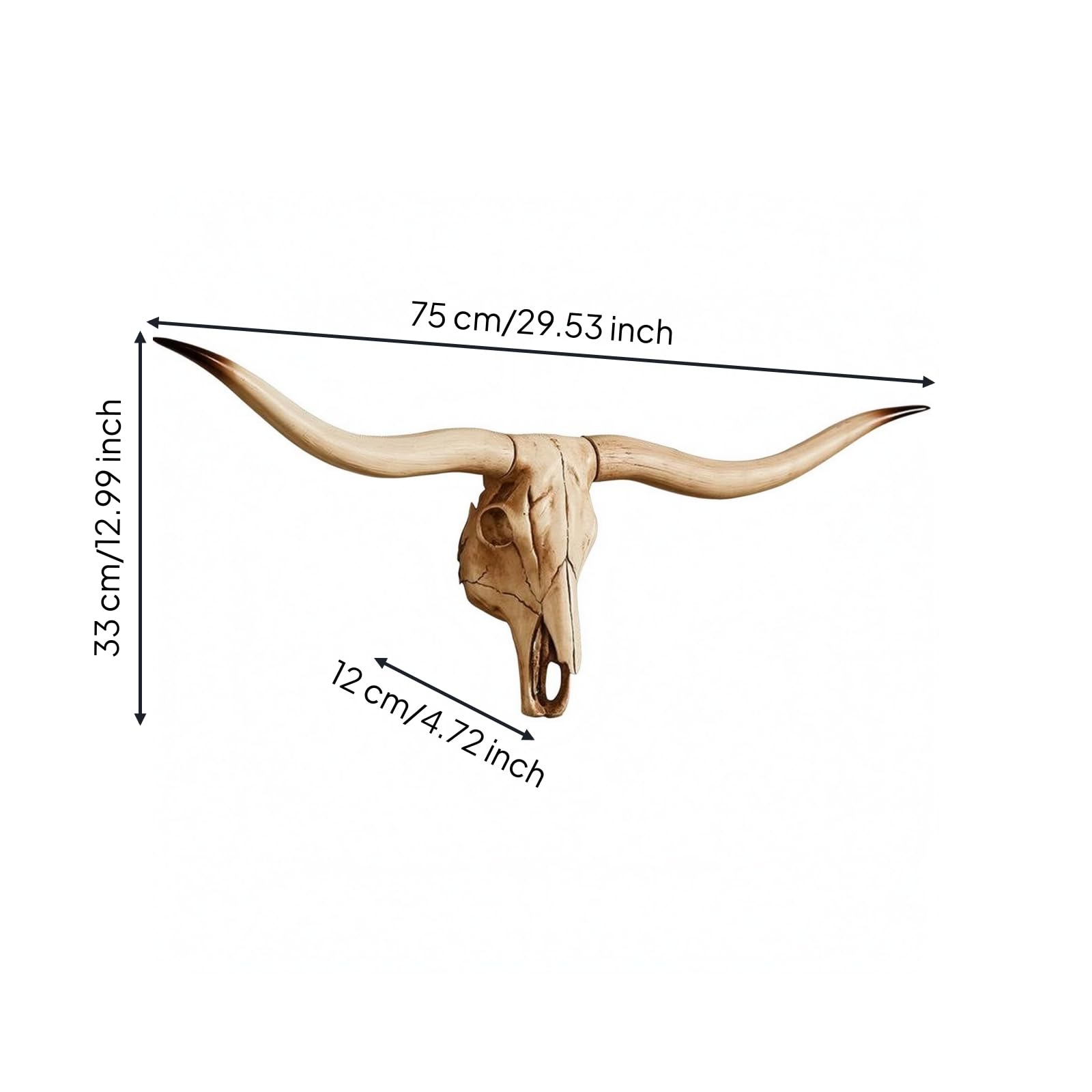 Amazon.co.jp: rockible 角付き頭蓋骨壁飾り リアルな角 アンティーク