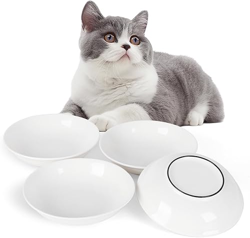 Cuencos para gatos de interior, parte inferior de silicona antideslizante de 5.5 pulgadas, tazón de comida para gatos inclinado, apto para bigotes,