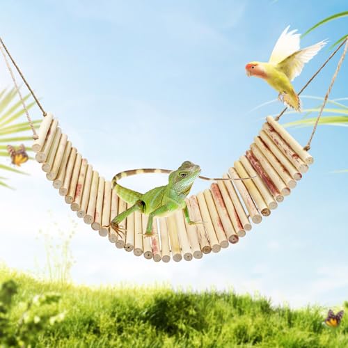 Neeenn Lizard Climbing Toys, Natural Material Reptile Ladder Bridge Toys, Reptile Tank Accessories, Suitable for Lizard Bearded Dragon Hermit Crab Bird Parrot Snake 29.3 x 6 Inches