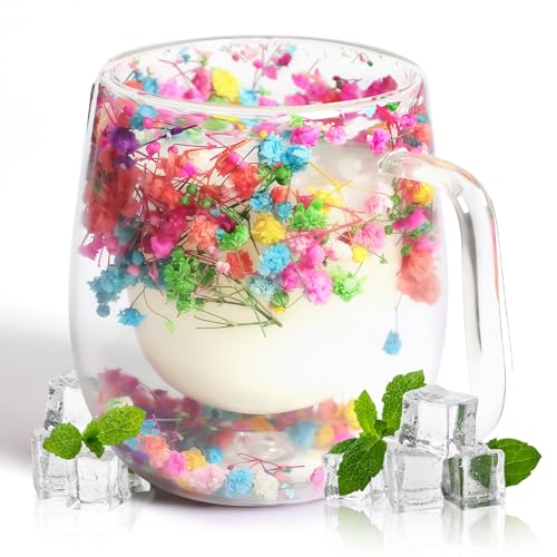 AWSOLAR 350ml Dried Flower Double Walled Glass Mugs, Double Insulated Coffee Mugs with Flower Mug Gifts Ideas for Women Mum Wife Teacher Friend