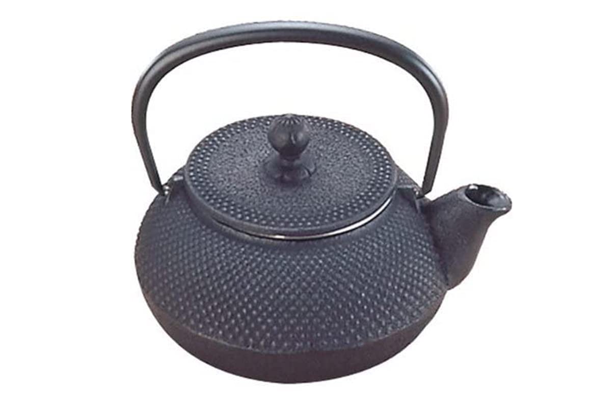 アラレ3号 Amazon｜岩鋳 Iwachu 急須 3型アラレ 黒 0.32L 内面ホーロー 南部鉄器