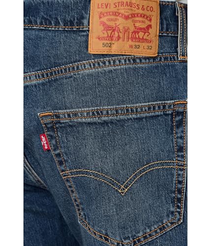 Image of Levi's Men's 559 Lined Pant