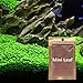 Wpmlady 2 Pc Aquarium Grass Plants Seeds (Small Leaf Grass)