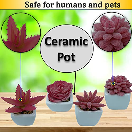 "Transform Your Home and Office with Vibrant Pink Artificial Succulents in Ceramic Pots - A Stunning 4-Piece Set for Your Living Room and Hall Decor!" "Transform Your Home and Office with Vibrant Pink Artificial Succulents in Ceramic Pots - A Stunning 4-Piece Set for Your Living Room and Hall Decor!"