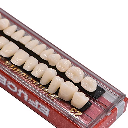 Angzhili Dental Acrylic Resin Denture Tooth Kit False Tooth For Halloween Horror Prop 23 A2(28 Pcs/Set) #TOP3