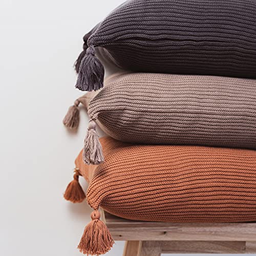 Lumi Living 100% Soft Cotton Raised Stripes Textured Rib Knit Throw Pillow Cover With Tassels (18X18, Rust) #TOP1