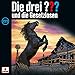 Die drei ??? und die Gesetzlosen: Die drei ??? 222 44/222 günstig Kaufen-Die drei ??? und die Gesetzlosen: Die drei ??? 222